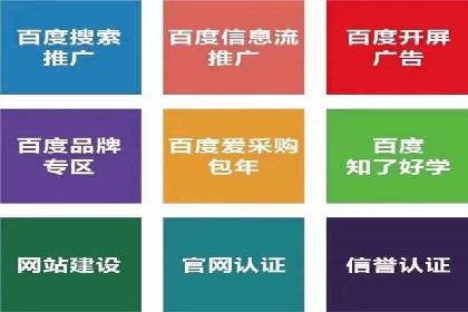 百度信息流广告推广：成功案例解析